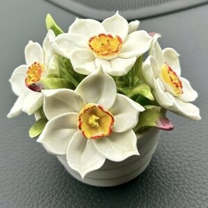 Vintage Aynsley Fine Bone China Narcissus Blooms In Pot  Bone China